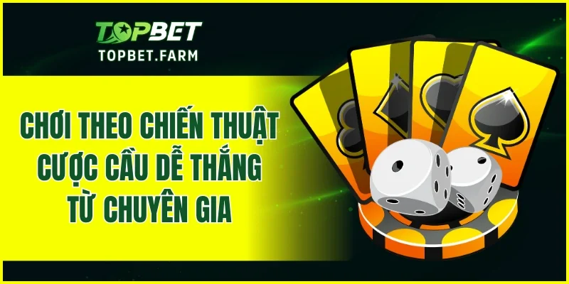 Chơi theo chiến thuật cược cầu dễ thắng từ chuyên gia