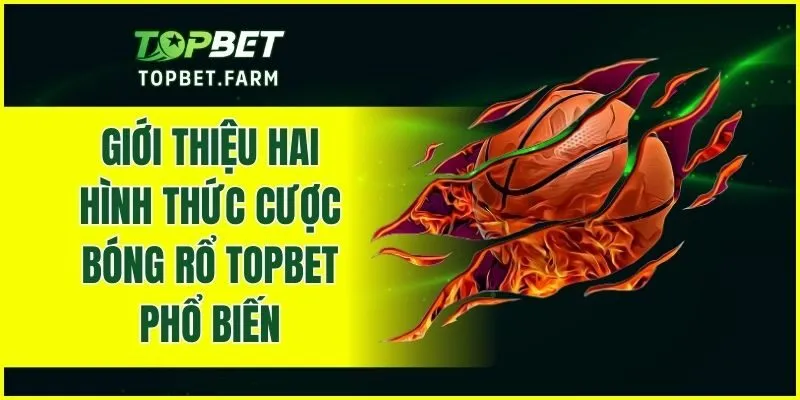 Giới thiệu hai hình thức cược bóng rổ TOPBET phổ biến