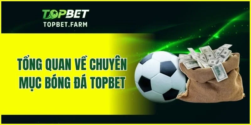 Giới thiệu sơ lược về chuyên mục bóng đá TOPBET
