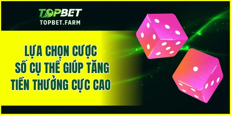 Lựa chọn cược một số cụ thể giúp tăng tiền thưởng thu về cực cao