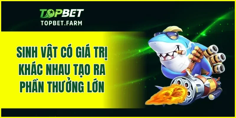Tận dụng chương trình ưu đãi khi nhà cái tung ra