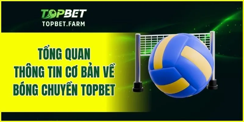 Tổng quan thông tin cơ bản về bóng chuyền TOPBET